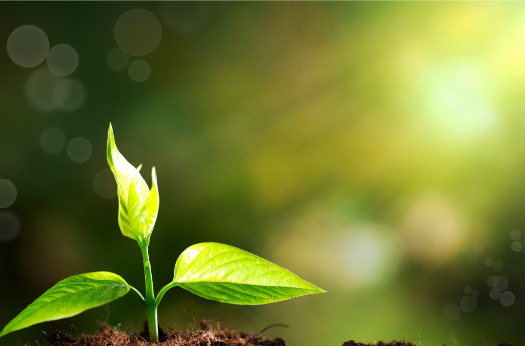 Design ohne Titel(31)