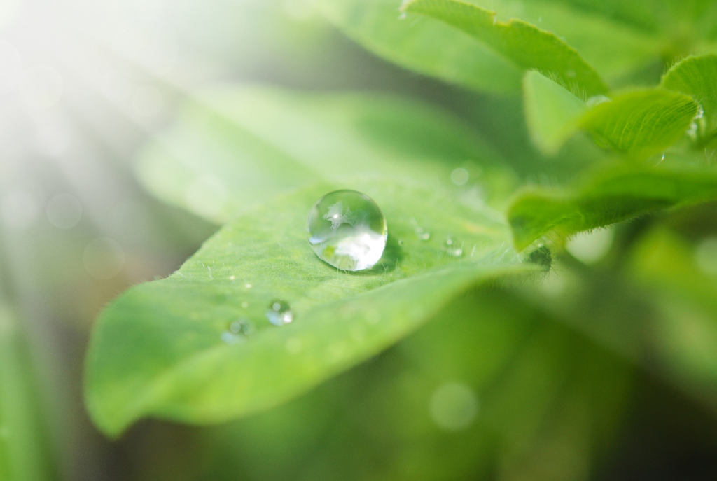 Design ohne Titel(33)